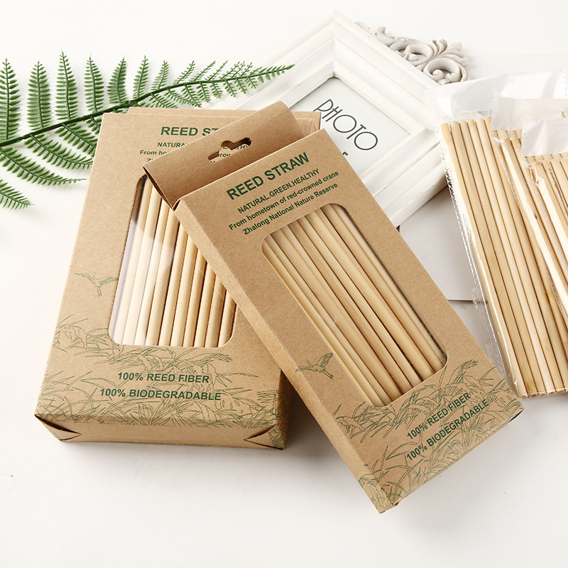 Reed biodegradable para beber paja natural y reutilizar paja